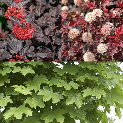 Комплект ОСЕННИЙ КОСТЕР в Саратове