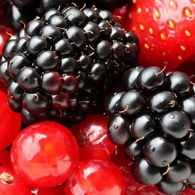 Ежевика в Саратове