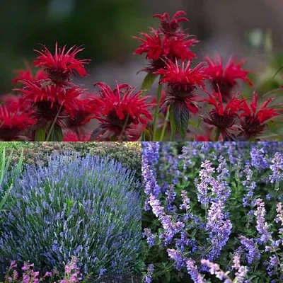 Комплект АРОМАТНЫЙ ЧАЙ в Саратове