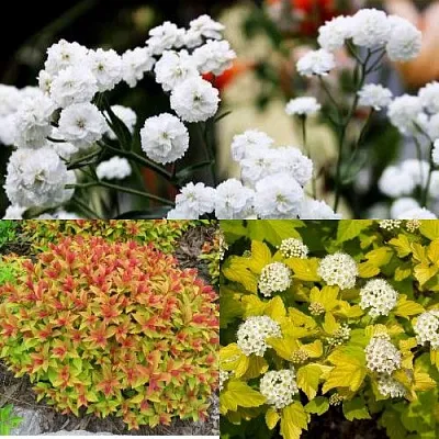 Комплект СОЛНЕЧНЫЙ МИКС в Саратове