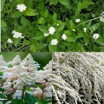 Комплект СКАНДИНАВСКИЙ СТИЛЬ в Саратове