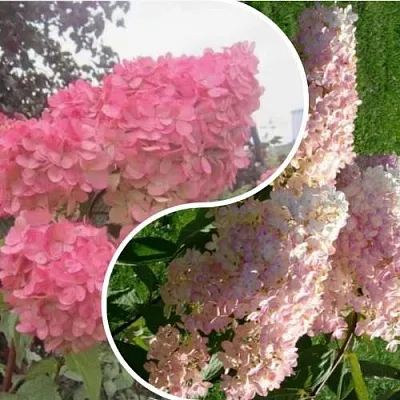 Комплект МНОГОГРАННОСТЬ в Саратове