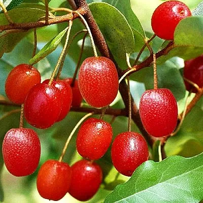 Гуми в Саратове