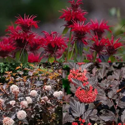 Комплект ОГНЕННЫЙ МИКС в Саратове