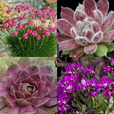 Комплект МИНИ САД в Саратове