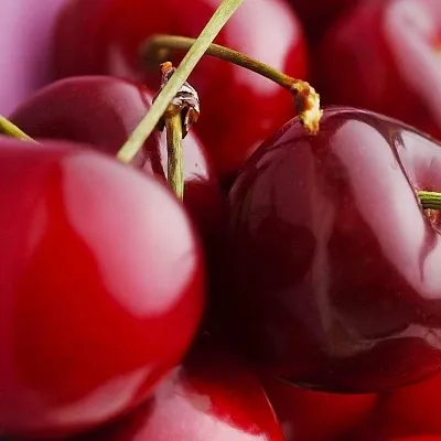 Вишня в Саратове