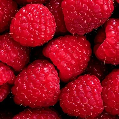 Малина в Саратове